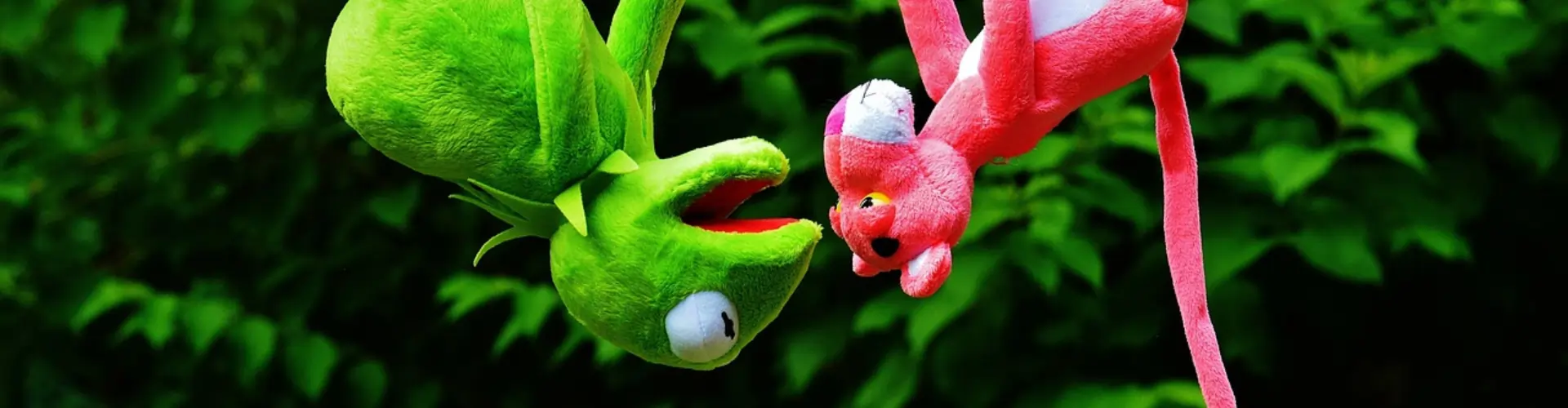 Kermit and Pink Panther